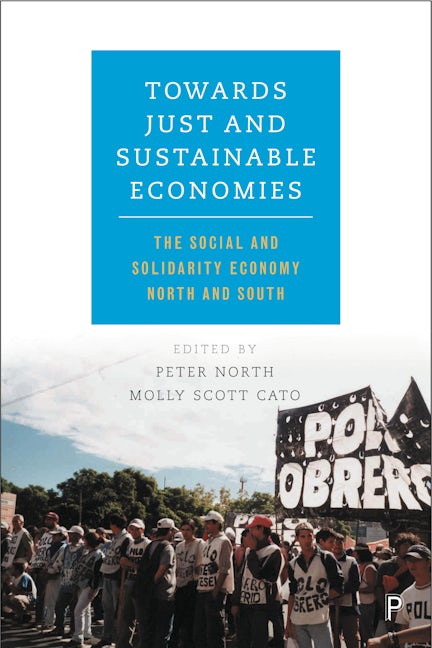 Book cover image for Towards Just and Sustainable Economies ISBN: 9781447327233